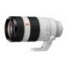 FE 100-400mm F4.5-5.6 GM OSS